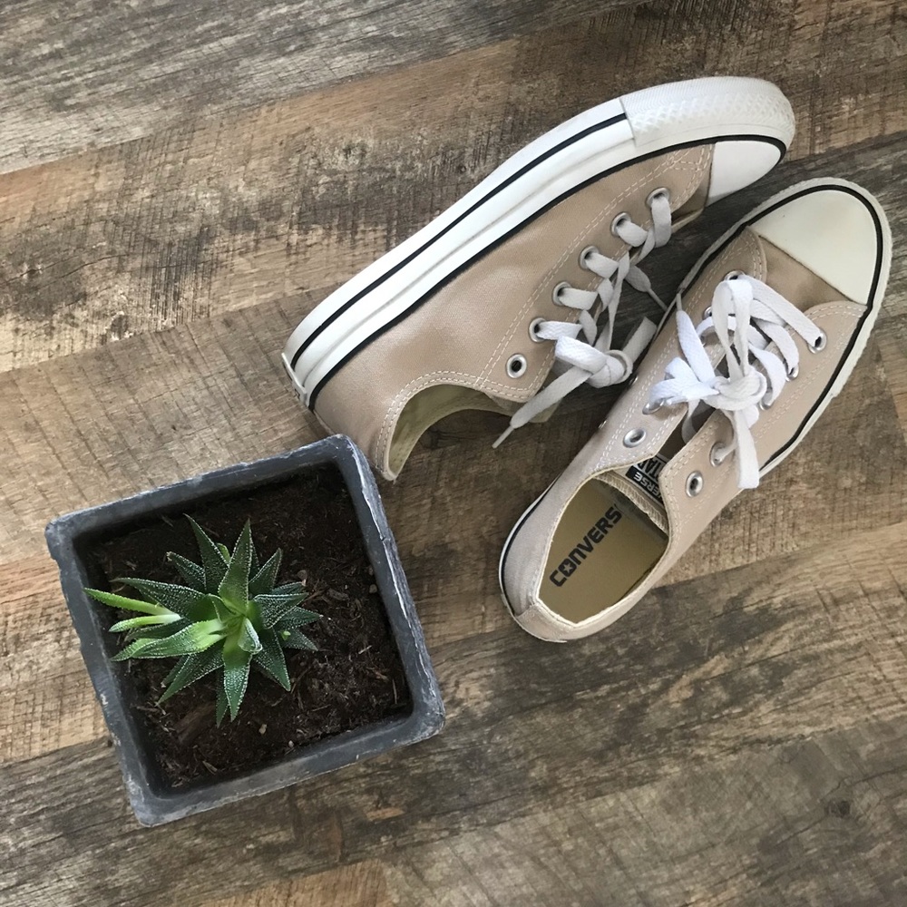 Cream Low Top Converse NWOT